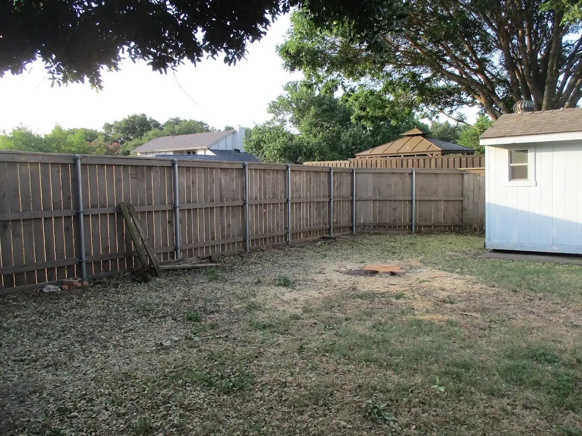Cleared yard after professional tree removal in Yuba City
